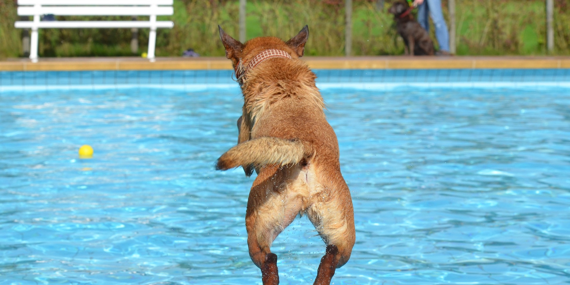 6 Great Reasons to Own a Swimming Pool